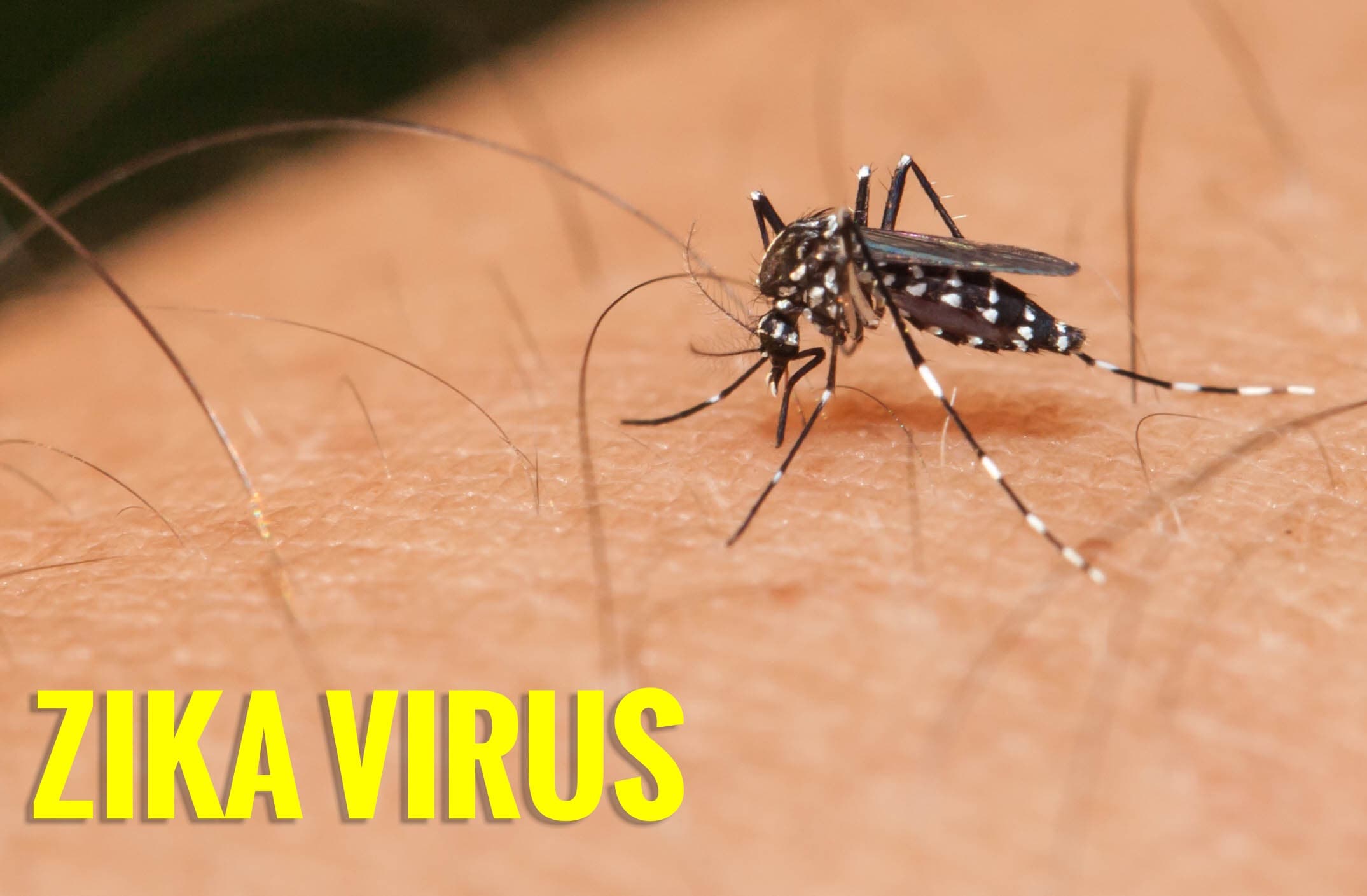 Aprovado Projeto de Lei que garante indenização e pensão às pessoas com Zika vírus
