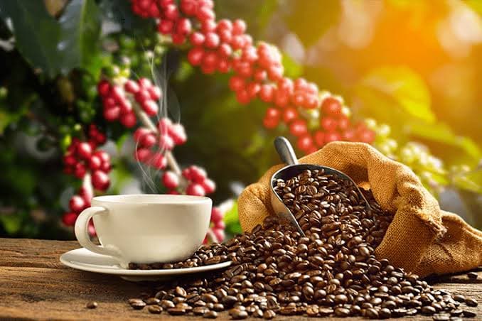 O preço do café e do algodão sobem, enquanto trigo fica mais barato