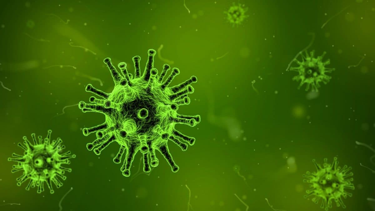 Lista da OMS traz os 30 vírus e bactérias mais perigosos do mundo