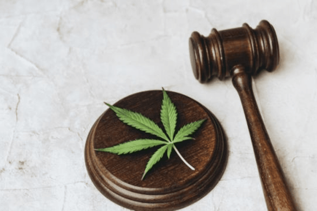 O que muda para o usuário de maconha com a decisão do STF?
