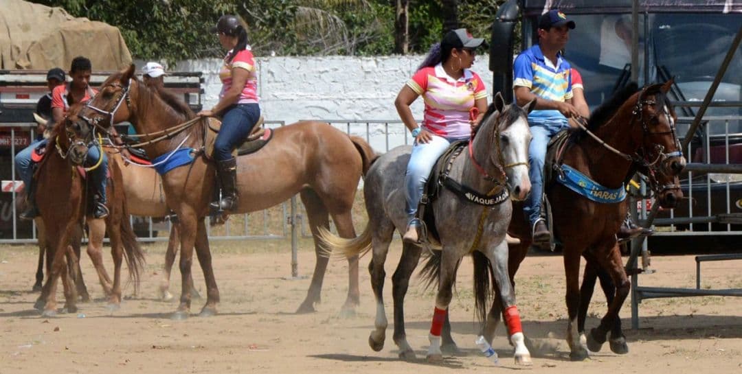 Cavalgada da Princesa de Feira acontece no dia 01 de dezembro