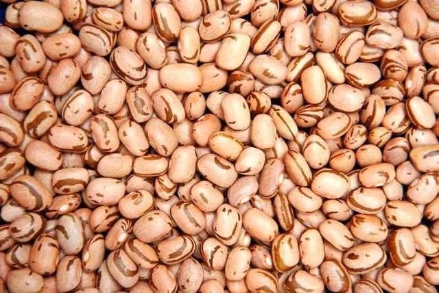 Comer feijão faz bem para o coração, diz estudo