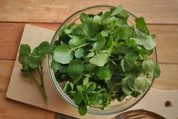 Agrião é eleito o vegetal perfeito; conheça as razões