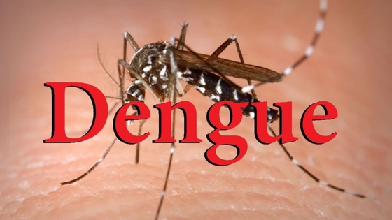 Feira recebe carro fumacê para reforçar combate ao Aedes aegypti em áreas com maior incidência