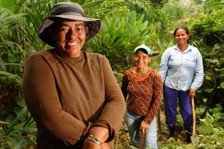 25 de julho: Dia Internacional da Agricultura Familiar, a base do futuro alimentar