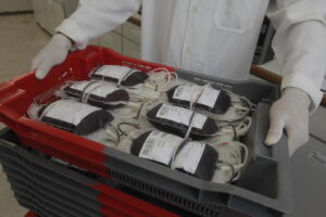 Bahia amplia em 375,7% a captação de sangue no Carnaval 2026