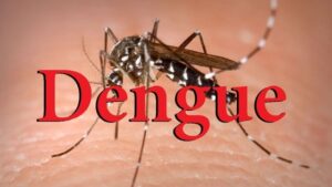 Combate à dengue é intensificado em Feira de Santana durante período chuvoso