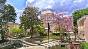 Cuca/Uefs abre matrículas para mais de 500 vagas em oficinas artísticas entre os dias 25 e 26 de março