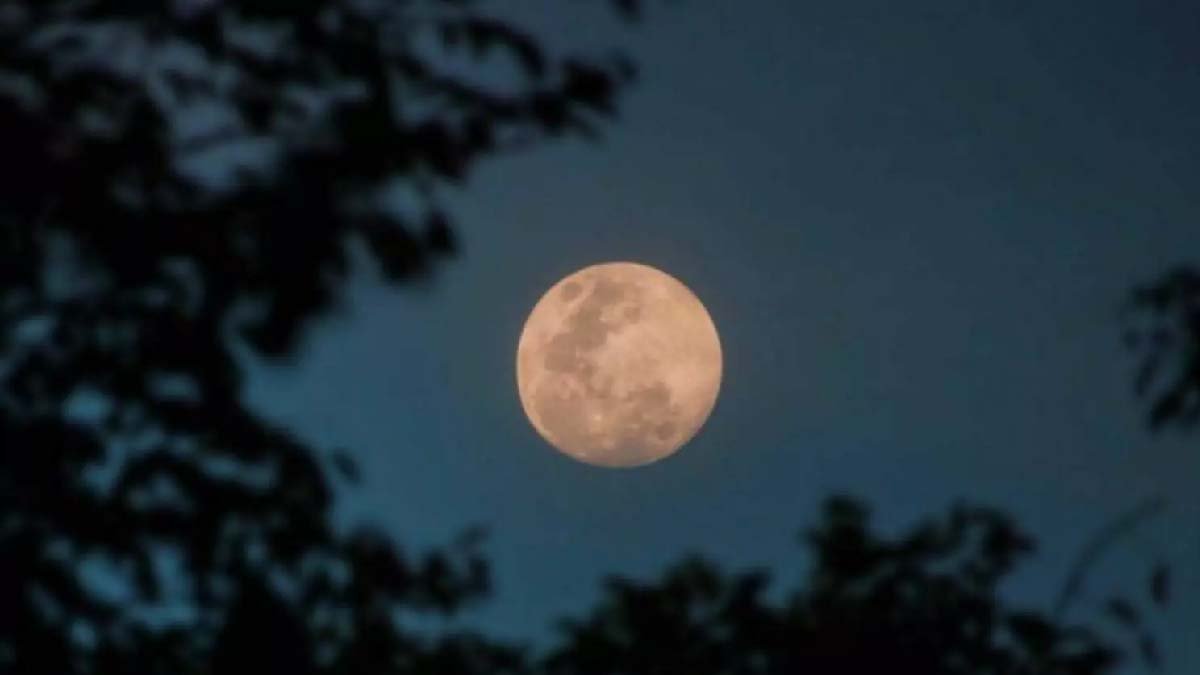 Penúltima superlua do ano brilhará no céu nesta quarta-feira e poderá ser vista em todo país