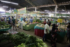 Senado aprova proposta de Damares e cria Frente Parlamentar dos Feirantes