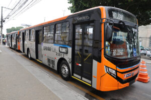Prefeitura de Feira anuncia transporte gratuito para quem for curtir festejos juninos